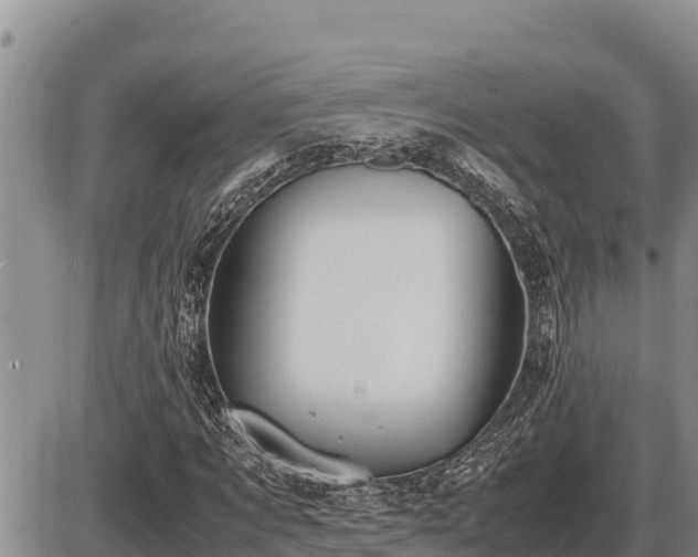 X0000087420869200704271735