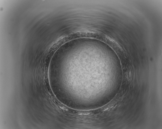 X0000087420870200704271735