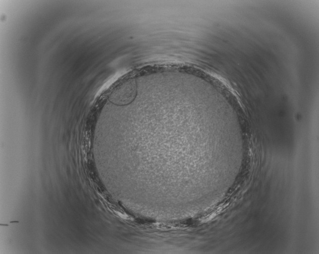 X0000087420871200704271735