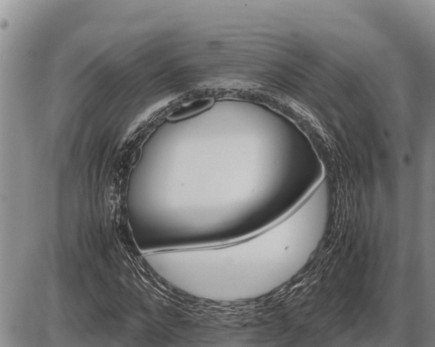 X0000087420872200704271734