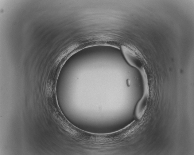 X0000087420873200704271734