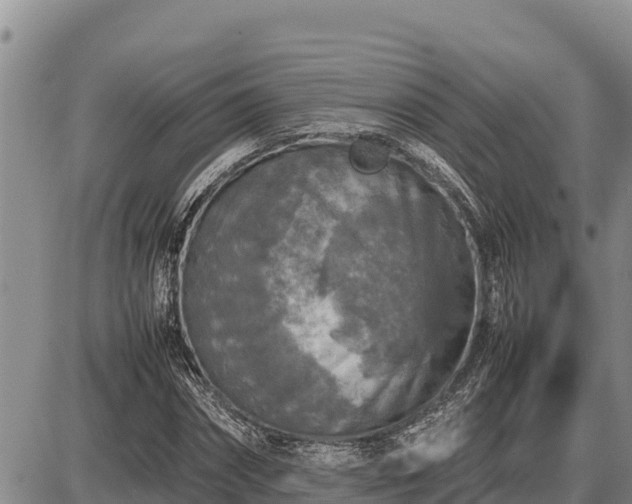 X0000087420874200704271734