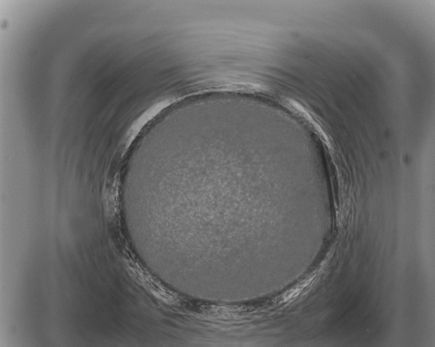 X0000087420875200704271734