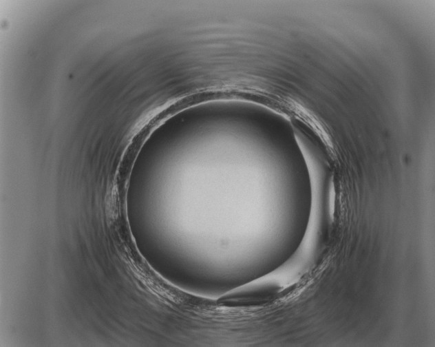 X0000087420876200704271734