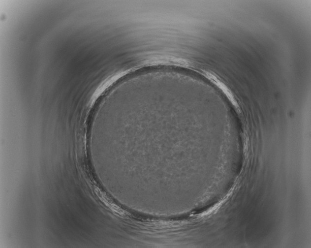 X0000087420877200704271734