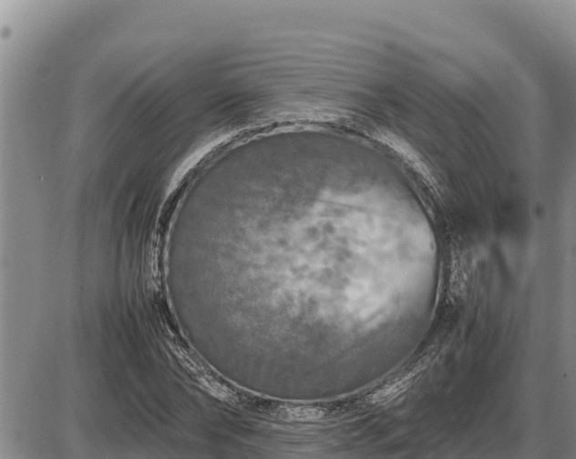 X0000087420878200704271734