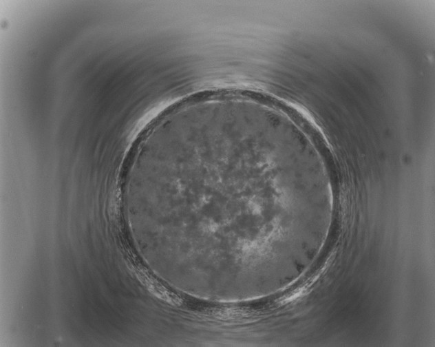 X0000087420879200704271734