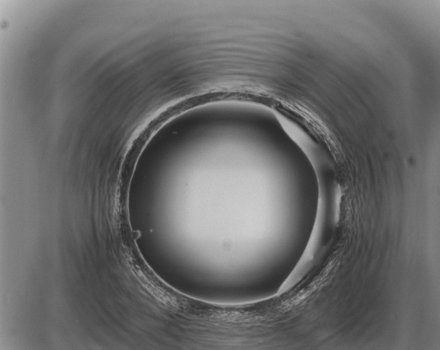 X0000087420880200704271734