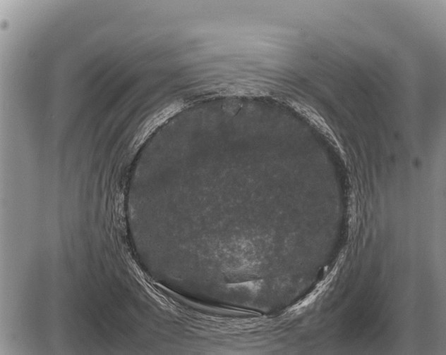 X0000087420881200704271734