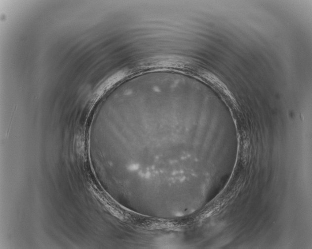 X0000087420882200704271734