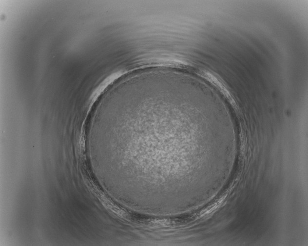 X0000087420883200704271734