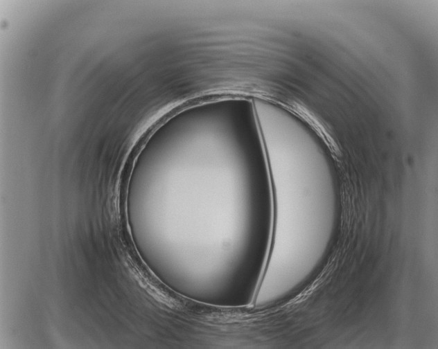 X0000087420884200704271734