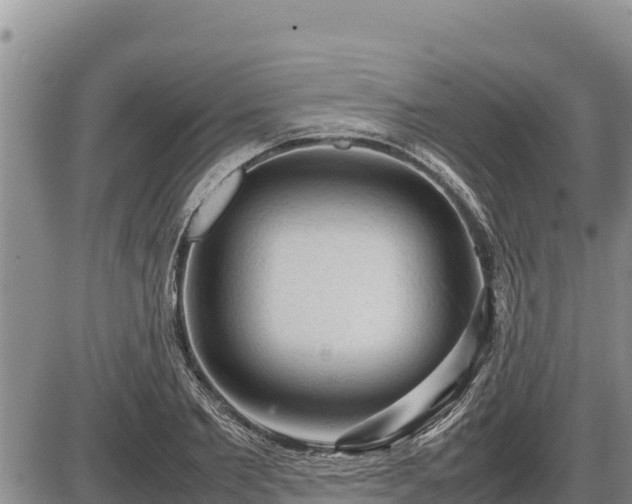 X0000087420885200704271734