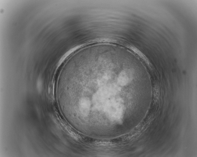 X0000087420886200704271734