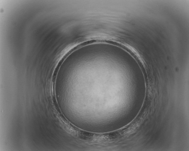 X0000087420887200704271734