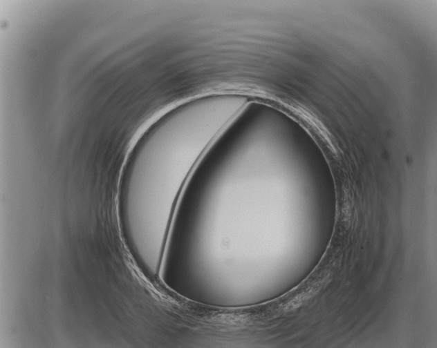 X0000087420888200704271734