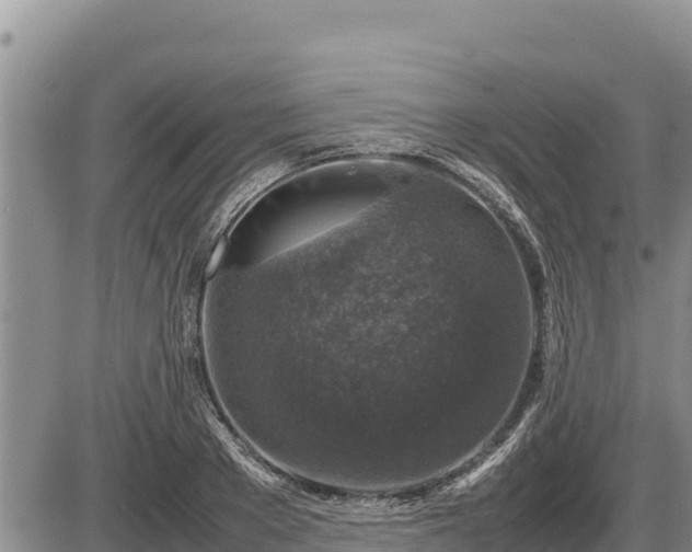 X0000087420889200704271734