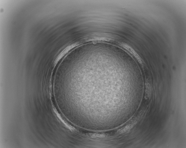 X0000087420890200704271734