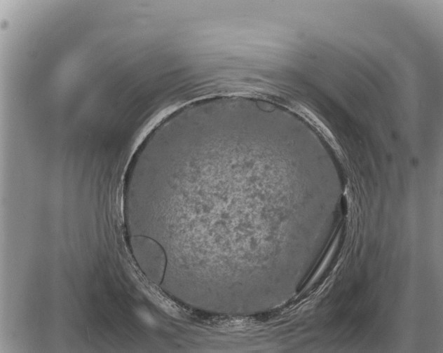 X0000087420891200704271734