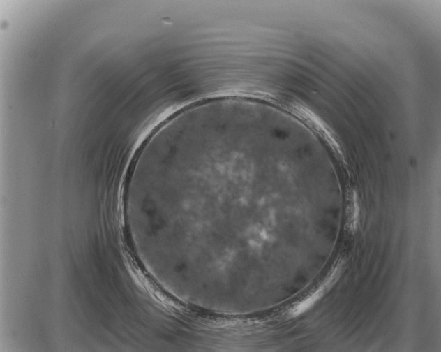 X0000087420892200704271734