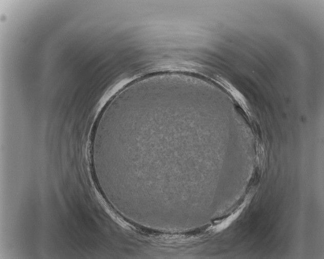 X0000087420893200704271734