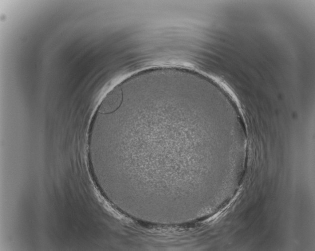 X0000087420895200704271734