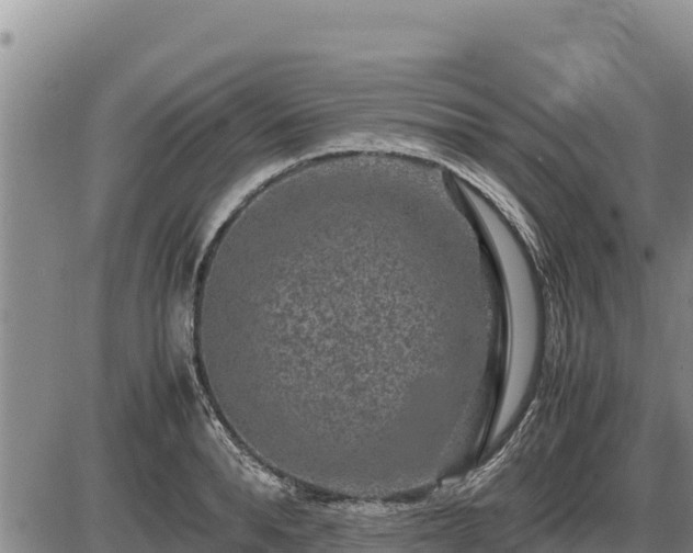 X0000087420896200704271734