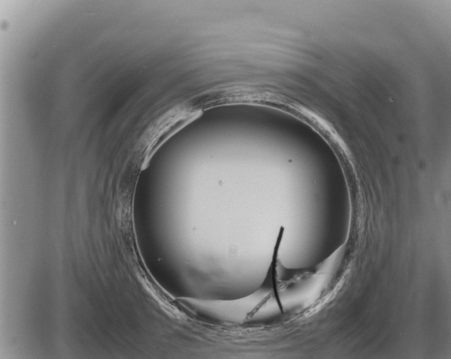 X0000087420897200704271734