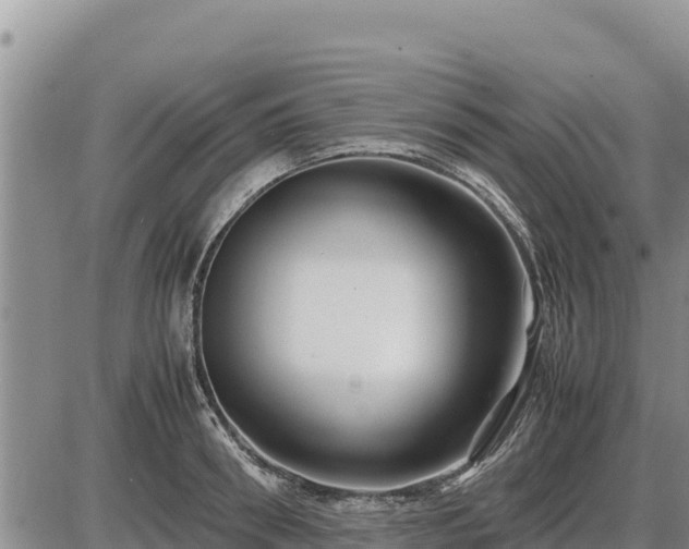 X0000087420898200704271734