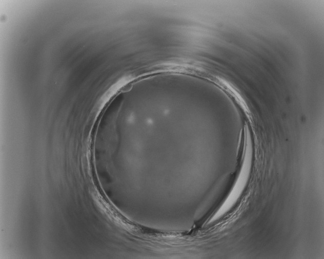 X0000087420899200704271734