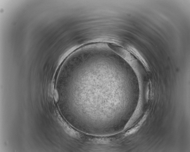 X0000087420900200704271734