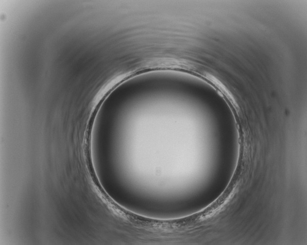 X0000087420901200704271734