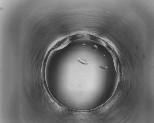 X0000087420902200704271734