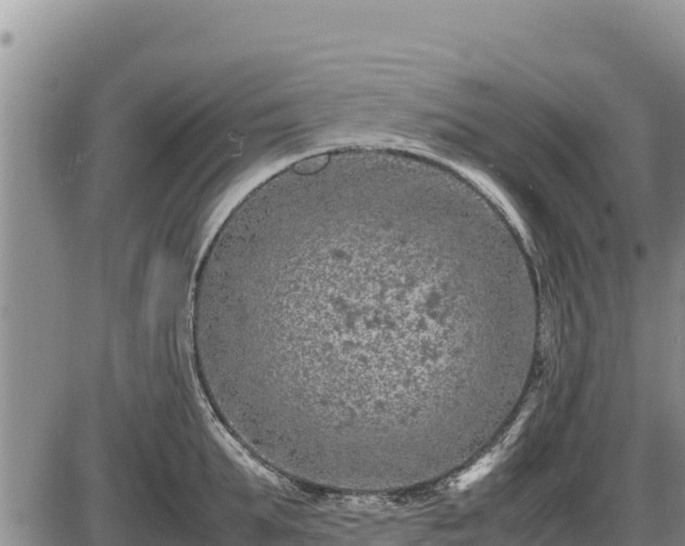 X0000087420903200704271734