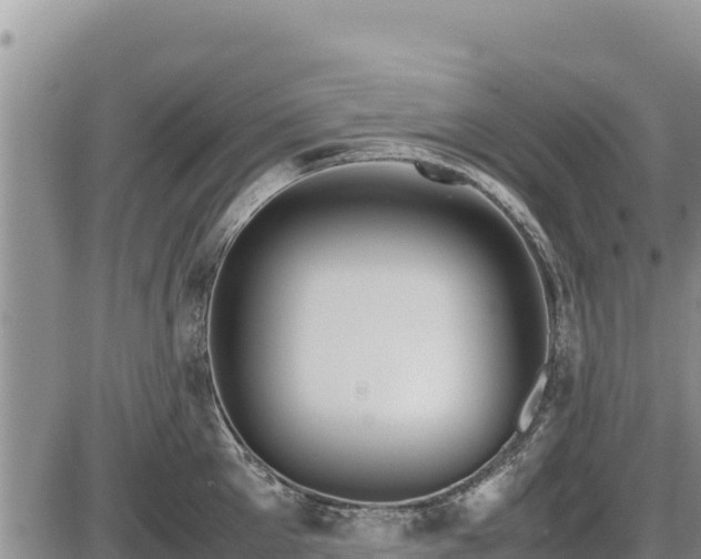 X0000087420905200704271734