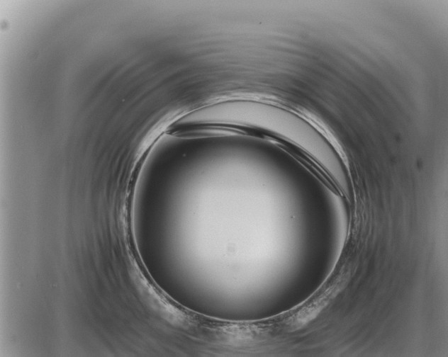 X0000087420906200704271734