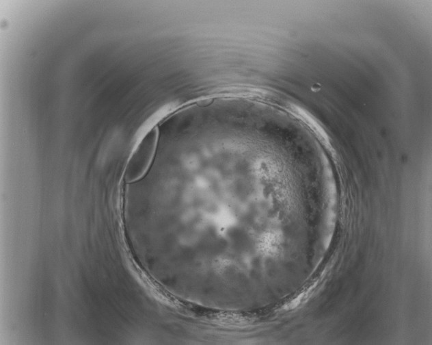 X0000087420907200704271734