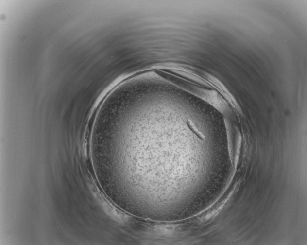 X0000087420908200704271734