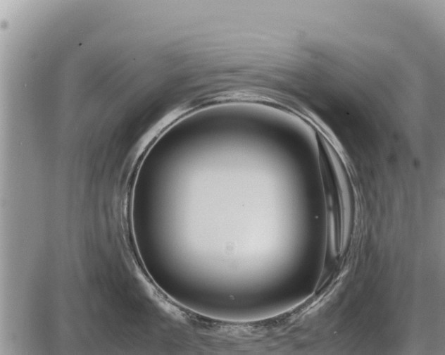 X0000087420909200704271734