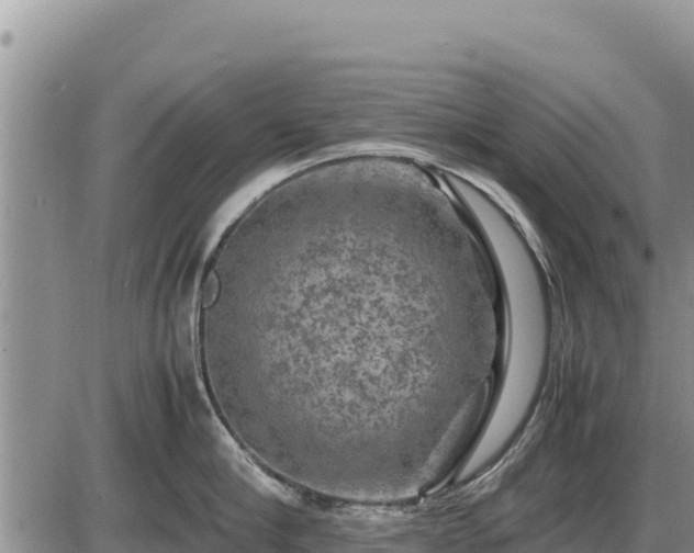 X0000087420910200704271734