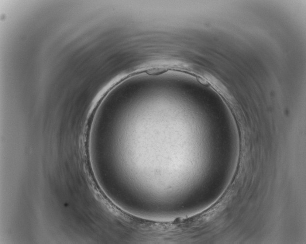 X0000087420912200704271734