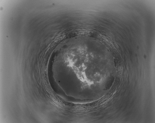 X0000087420913200704271733