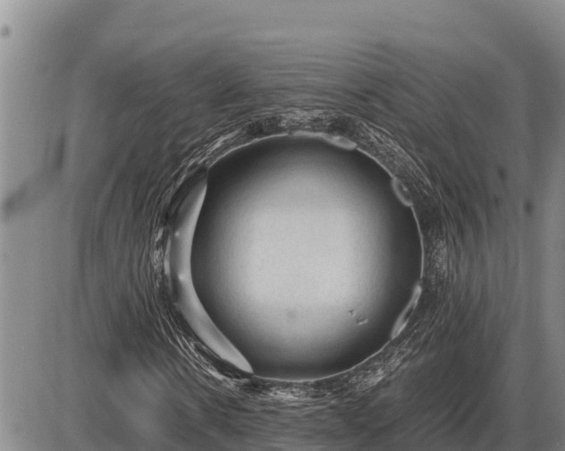 X0000087420914200704271733