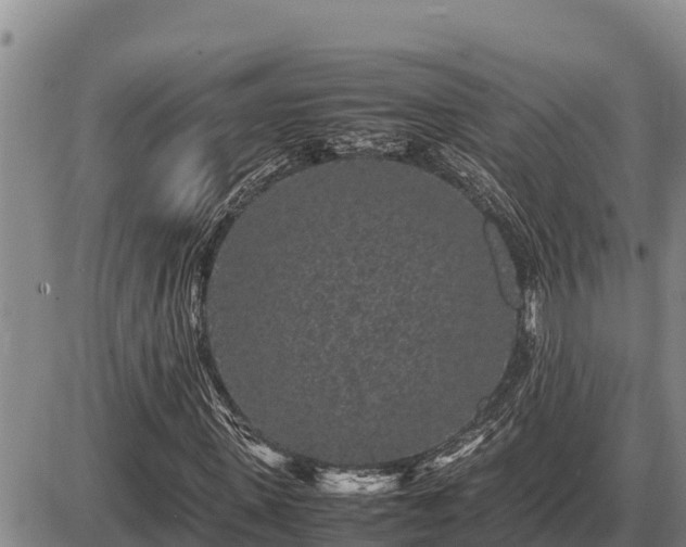 X0000087420915200704271733