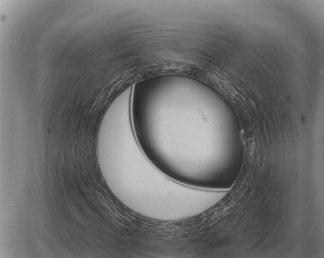 X0000087420916200704271733