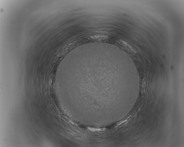 X0000087420917200704271733