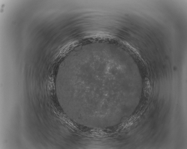 X0000087420918200704271733