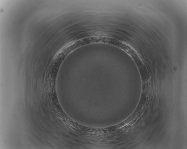 X0000087420919200704271733