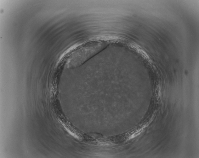 X0000087420920200704271733