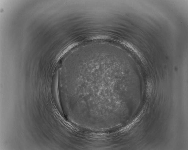 X0000087420921200704271733